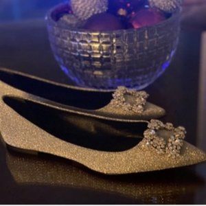 Roger Vivier [Belle De Nuit] Silver Flats - Size 9